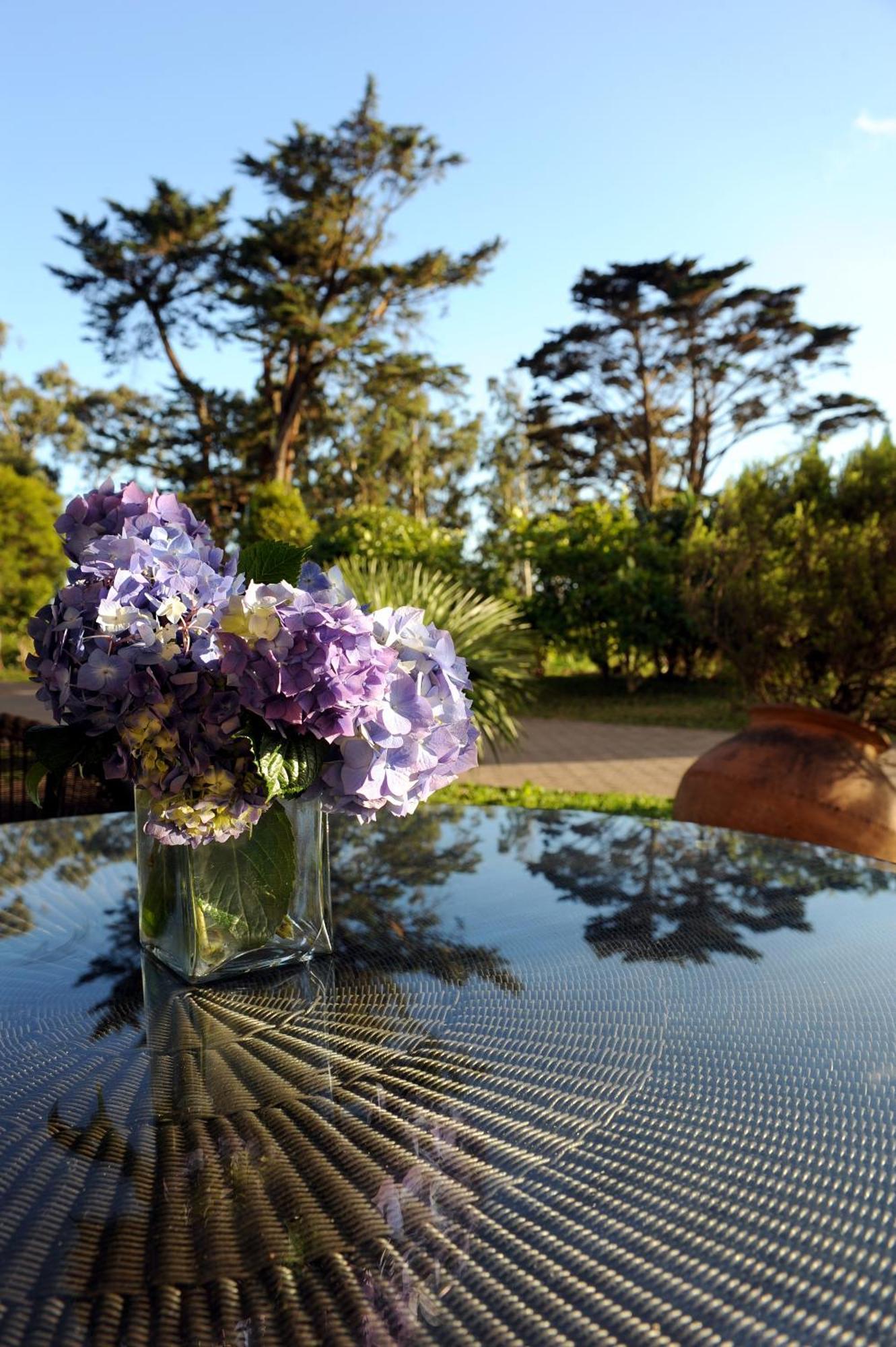 Quinta Da Cova Do Milho Hotel Santo Antonio da Serra Bagian luar foto